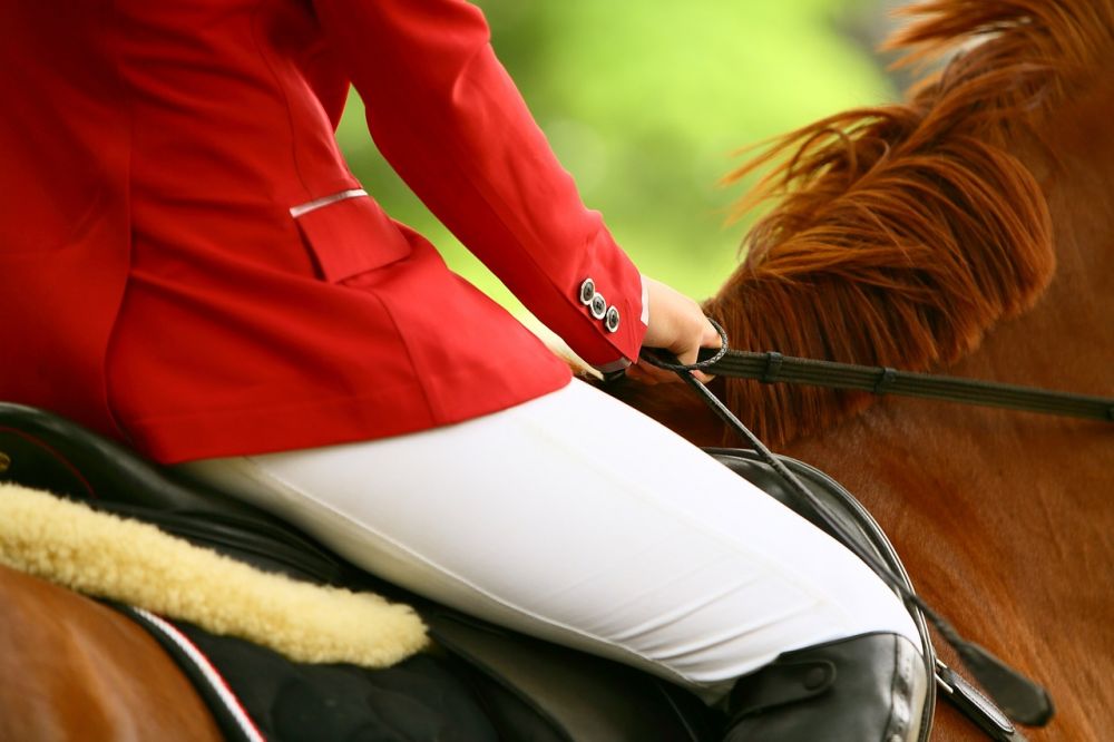 Guide til rideutstyr: Viktigheten av riktig utstyr for rytter og hest